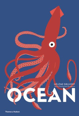Ocean by Helene Druvert
