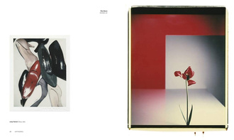 The Polaroid Project At the Intersection of Art and Technology