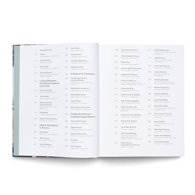 American Icons : The Architecture of the United States: Visions and Defiance