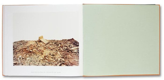 Settlement. Nick Waplington