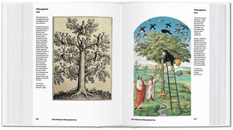 Alchemy & Mysticism (Hermetic Museum)