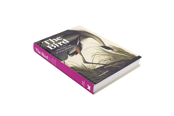 The Bird SLIGHTLY DAMAGED COPY