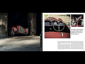 Beautiful Machines : The Era of the Elegant Sports