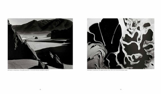 Weston : Edward, Brett, Cole, Cara. The Weston Photographers