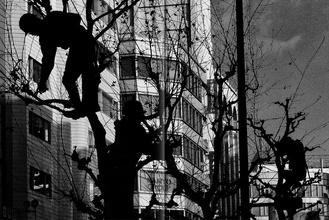 Daido Moriyama – Record 2