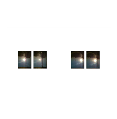 Zoe Leonard: Available Light