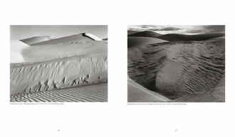 Weston : Edward, Brett, Cole, Cara. The Weston Photographers