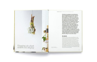 How to plant a room and grow a happy home