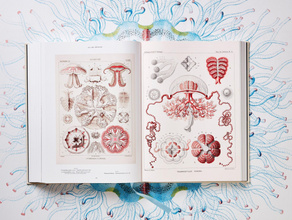 The Art and Science of Ernst Haeckel