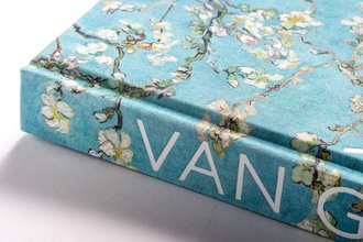 Van Gogh : The Bigger Picture