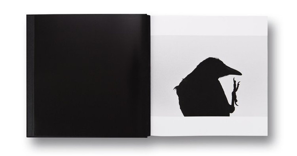 Masahisa Fukase — Ravens