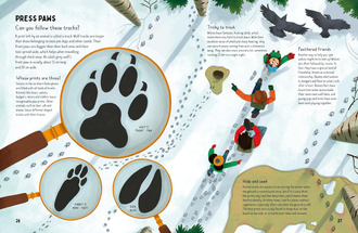 Are Wolves Afraid of the Dark?