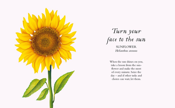 The Wisdom of Flowers