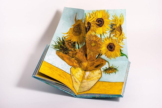 Van Gogh : The Bigger Picture