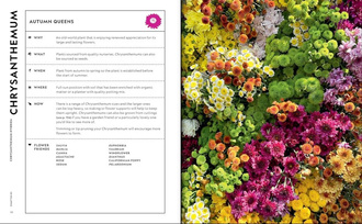 The Super Bloom Handbook