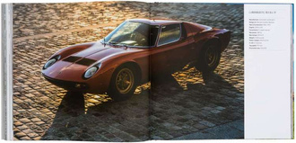 Beautiful Machines : The Era of the Elegant Sports