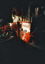 William Eggleston: The Outlands