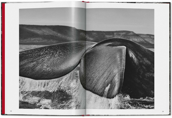 Sebastião Salgado Genesis 45th Ed.