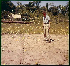 Adventures of a Young Naturalist : SIR DAVID ATTENBOROUGH'S ZOO QUEST EXPEDITIONS