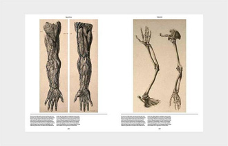 Anatomica : The Exquisite and Unsettling Art of Human Anatomy