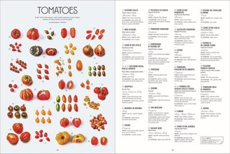 Let's Eat Italy! : Everything You Want to Know About Your Favorite Cuisine