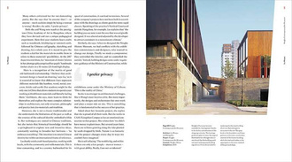 New Chinese Architecture : Twenty Women Building the Future