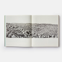 Vitamin D3, Today's Best in Contemporary Drawing