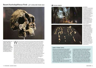 Archaeology: The Whole Story