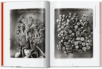 Karl Blossfeldt. The Complete Published Work. 40th Ed.