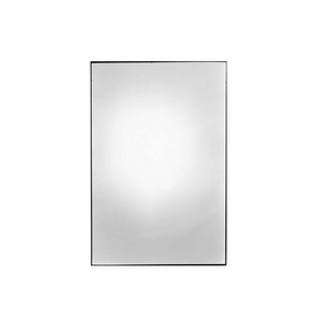 Zoe Leonard: Available Light