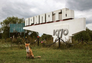 Chernobyl: A Stalkers' Guide