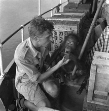 Adventures of a Young Naturalist : SIR DAVID ATTENBOROUGH'S ZOO QUEST EXPEDITIONS