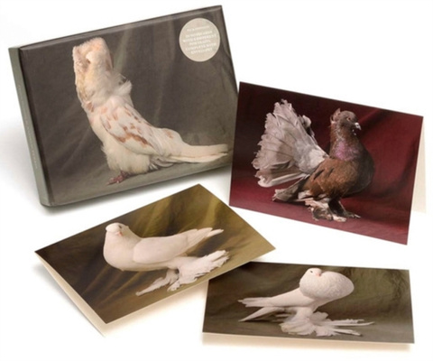 Beautiful Pigeons : 20 Notecards with 4 Different Portraits, Complete with Envelopes