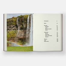 Vegan at Home : Recipes for a modern plant-based lifestyle LEKKO USZKODZONY