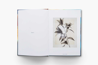 Thomas Ruff: Transforming Photography