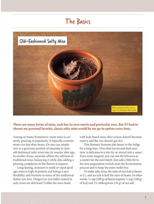 A Beginner's Guide to Japanese Fermentation