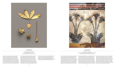 Flower: Exploring the World in Bloom