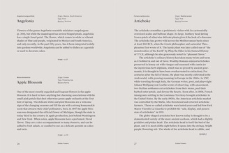 Edible Flowers : How, Why, and When We Eat Flowers