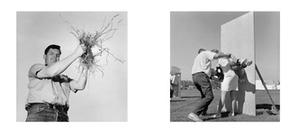 Larry Sultan & Mike Mandel: Evidence