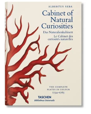 Cabinet of Natural Curiosities KSIĄŻKA Z PRZETARTĄ OKŁADKĄ