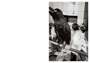 Bruce Gilden: Cherry Blossom