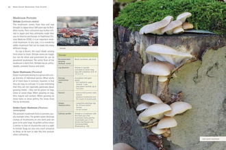 Home-Grown Mushrooms from Scratch