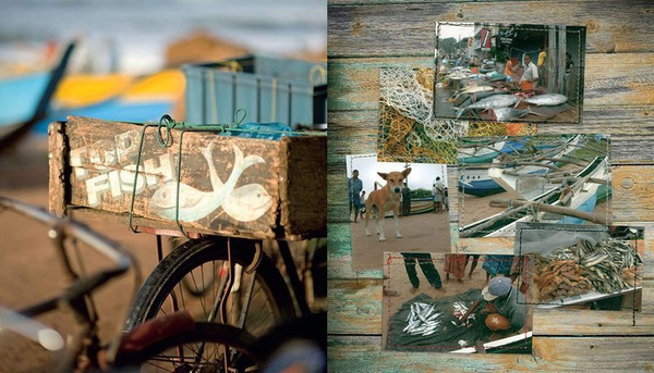 Serendip : My Sri Lankan Kitchen