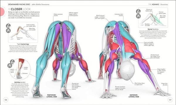 Science of Yoga: Understand the Anatomy and Physio