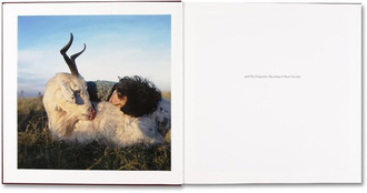 The Adventures of Guille and Belinda and The Enigmatic Meaning of Their Dreams — Alessandra Sanguinetti