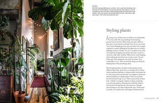 Wild at Home How to Style and Care for Beautiful Plants