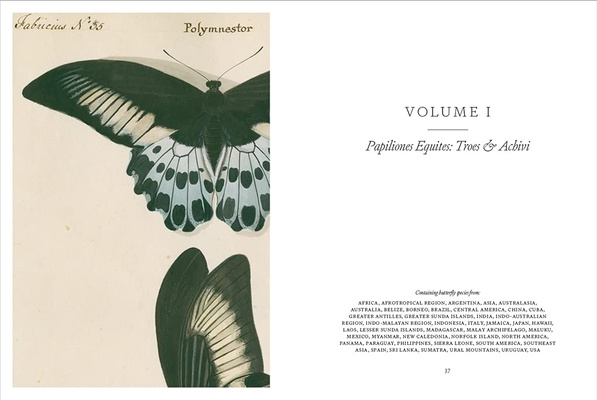 Iconotypes: A Compendium of Butterflies and Moths. Jones’s Icones Complete (Książka dnia 15.01.2026)