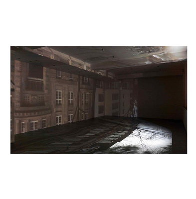 Zoe Leonard: Available Light