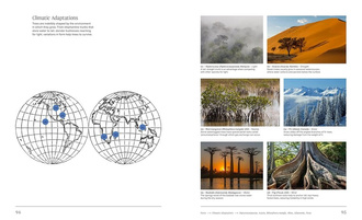 Trees : From Root to Leaf