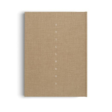 Stillness : An Exploration of Japanese Aesthetics in Architecture and Design
